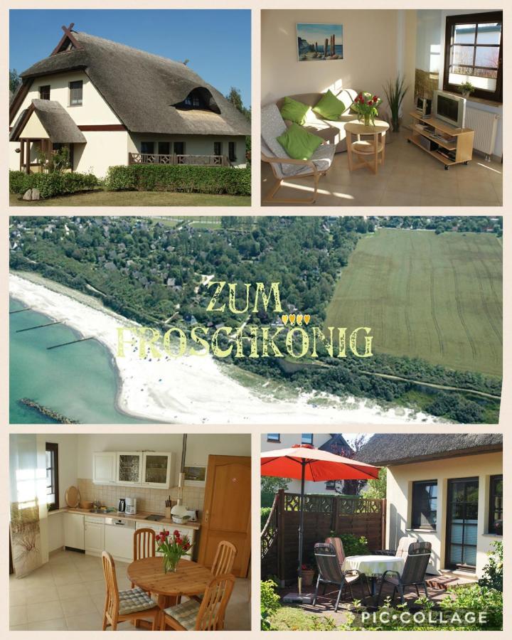 Zum Froschkoenig Appartement Ahrenshoop Buitenkant foto