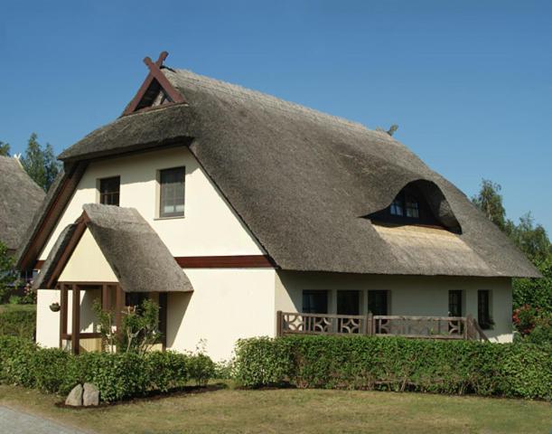 Zum Froschkoenig Appartement Ahrenshoop Buitenkant foto