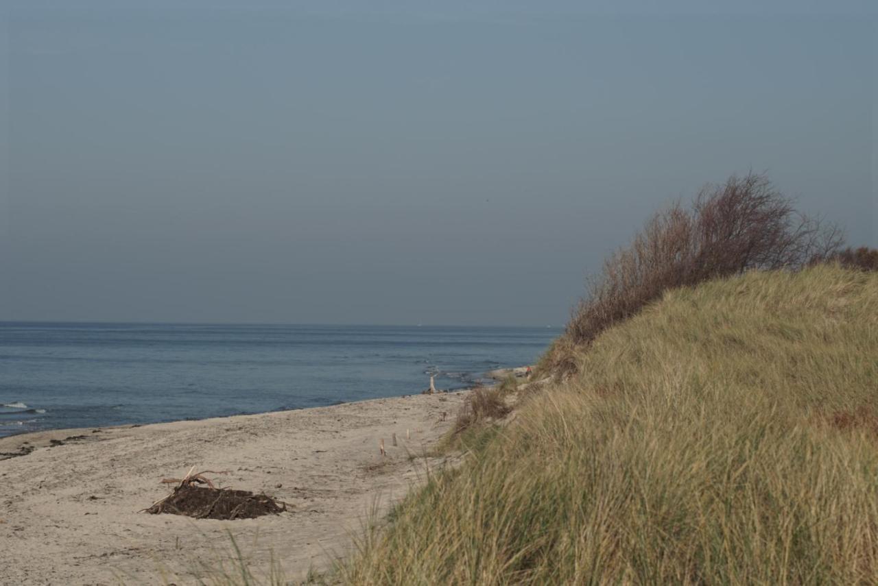 Zum Froschkoenig Appartement Ahrenshoop Buitenkant foto