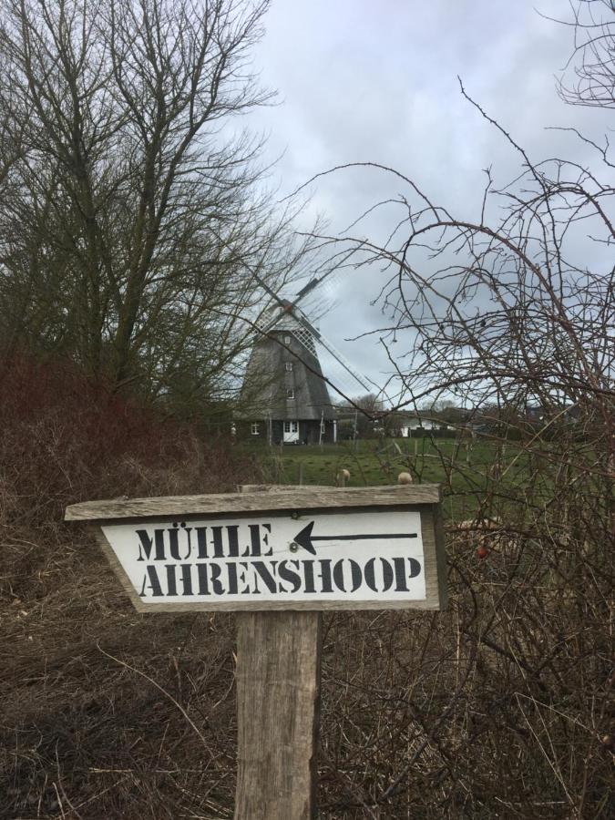 Zum Froschkoenig Appartement Ahrenshoop Buitenkant foto