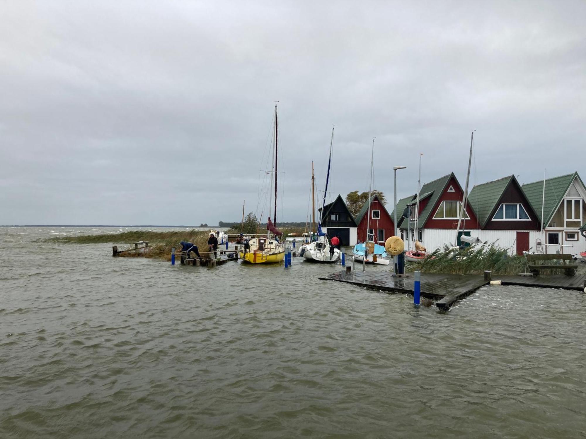 Zum Froschkoenig Appartement Ahrenshoop Buitenkant foto