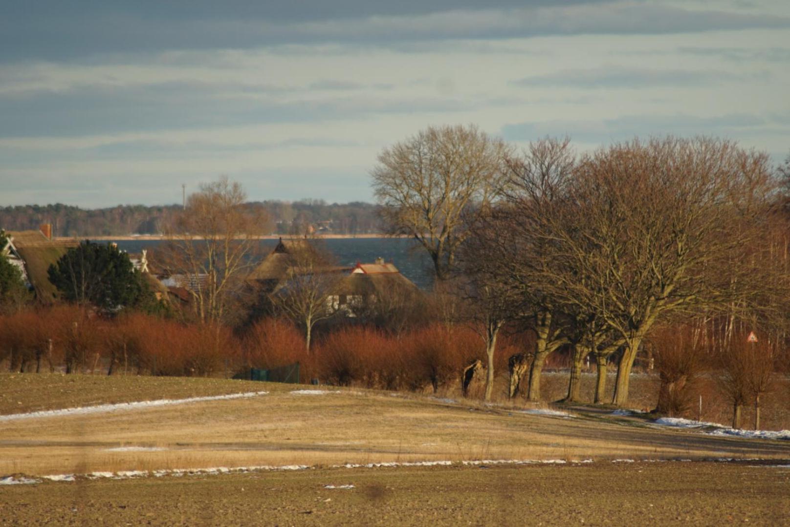 Zum Froschkoenig Appartement Ahrenshoop Buitenkant foto
