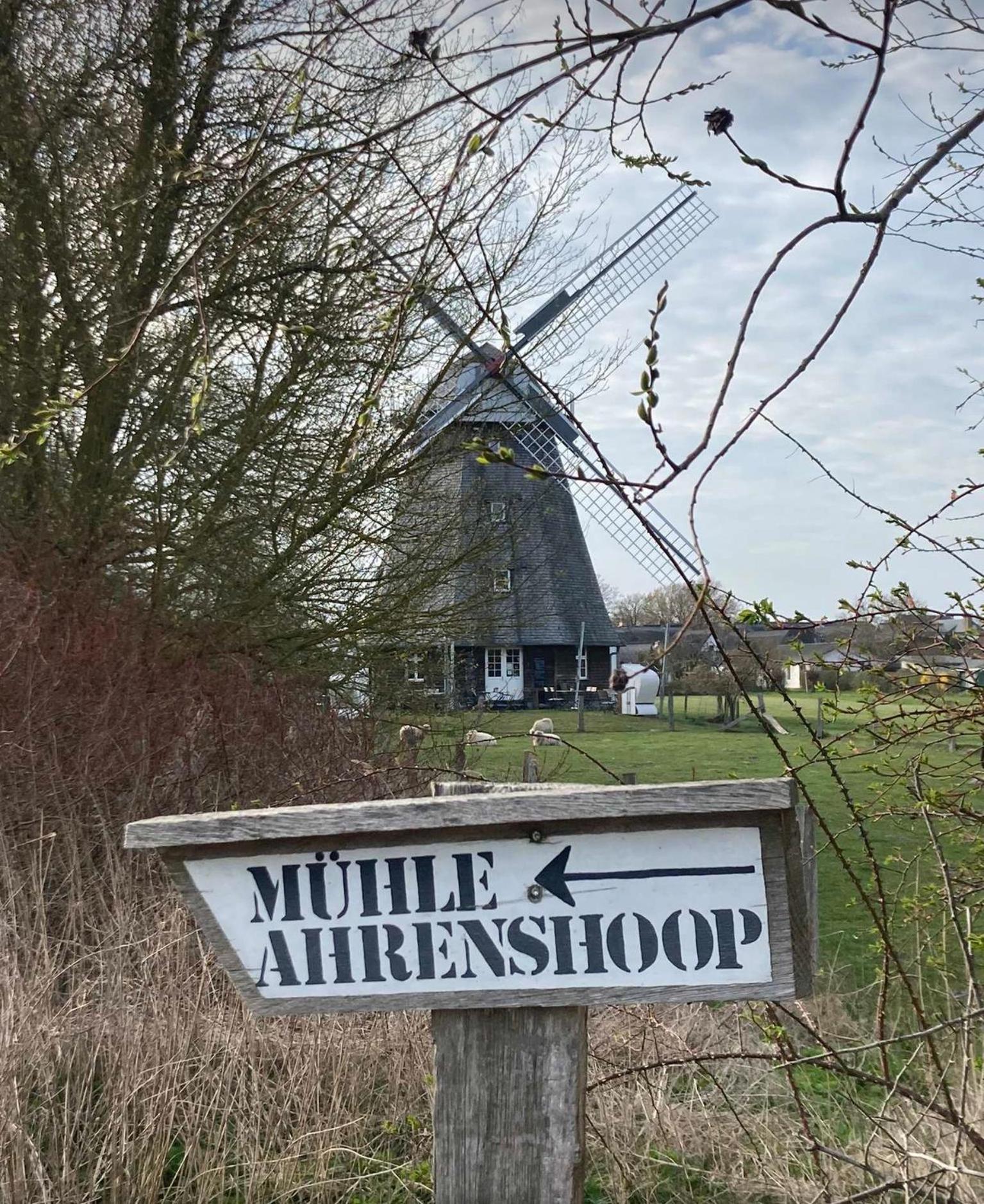 Zum Froschkoenig Appartement Ahrenshoop Buitenkant foto